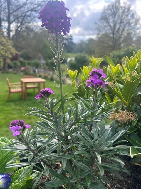 Moor Hall beautiful grounds